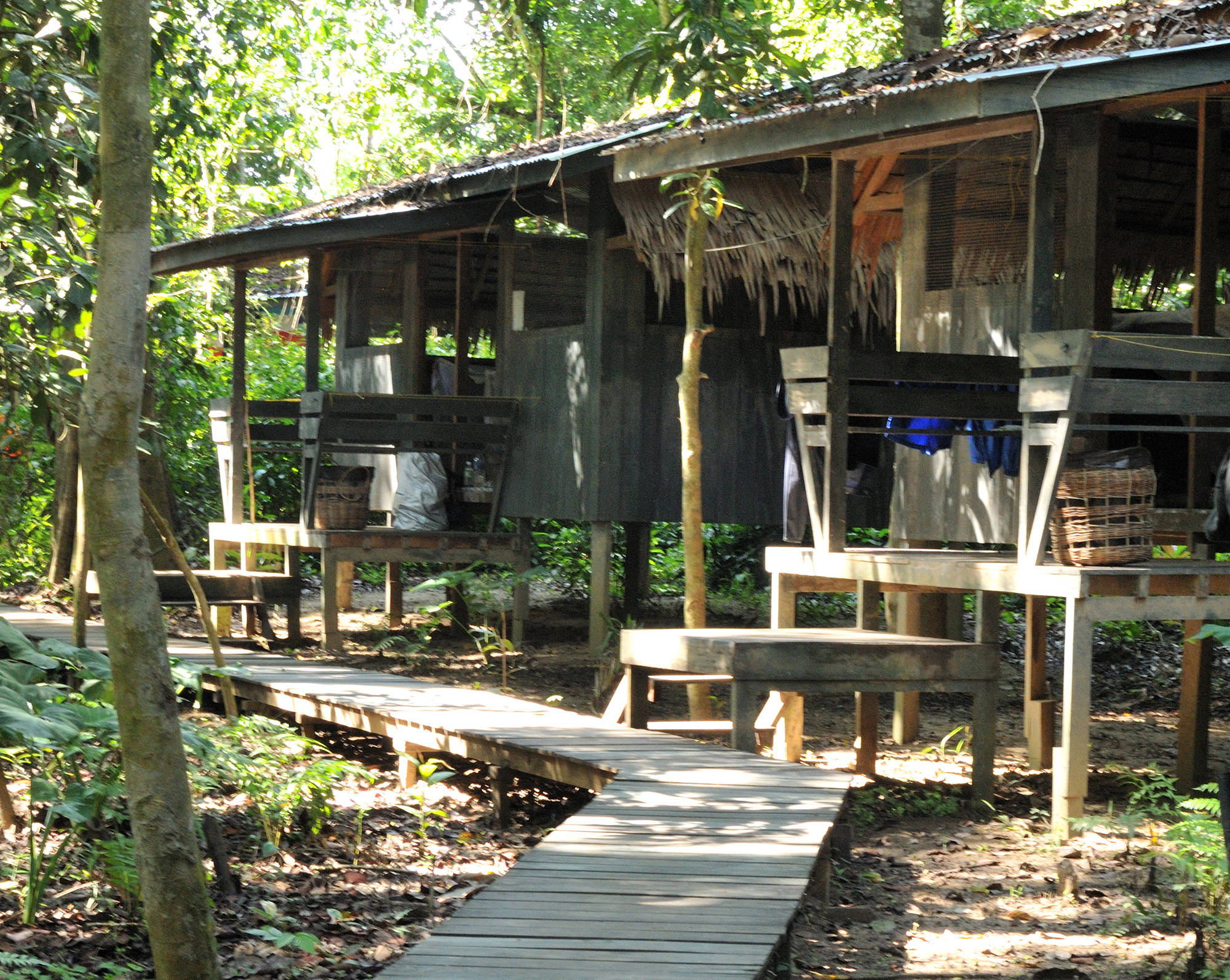 Camp Huts Lokan-2